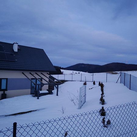Blizejgorcow Villa Lubomierz  Exterior foto